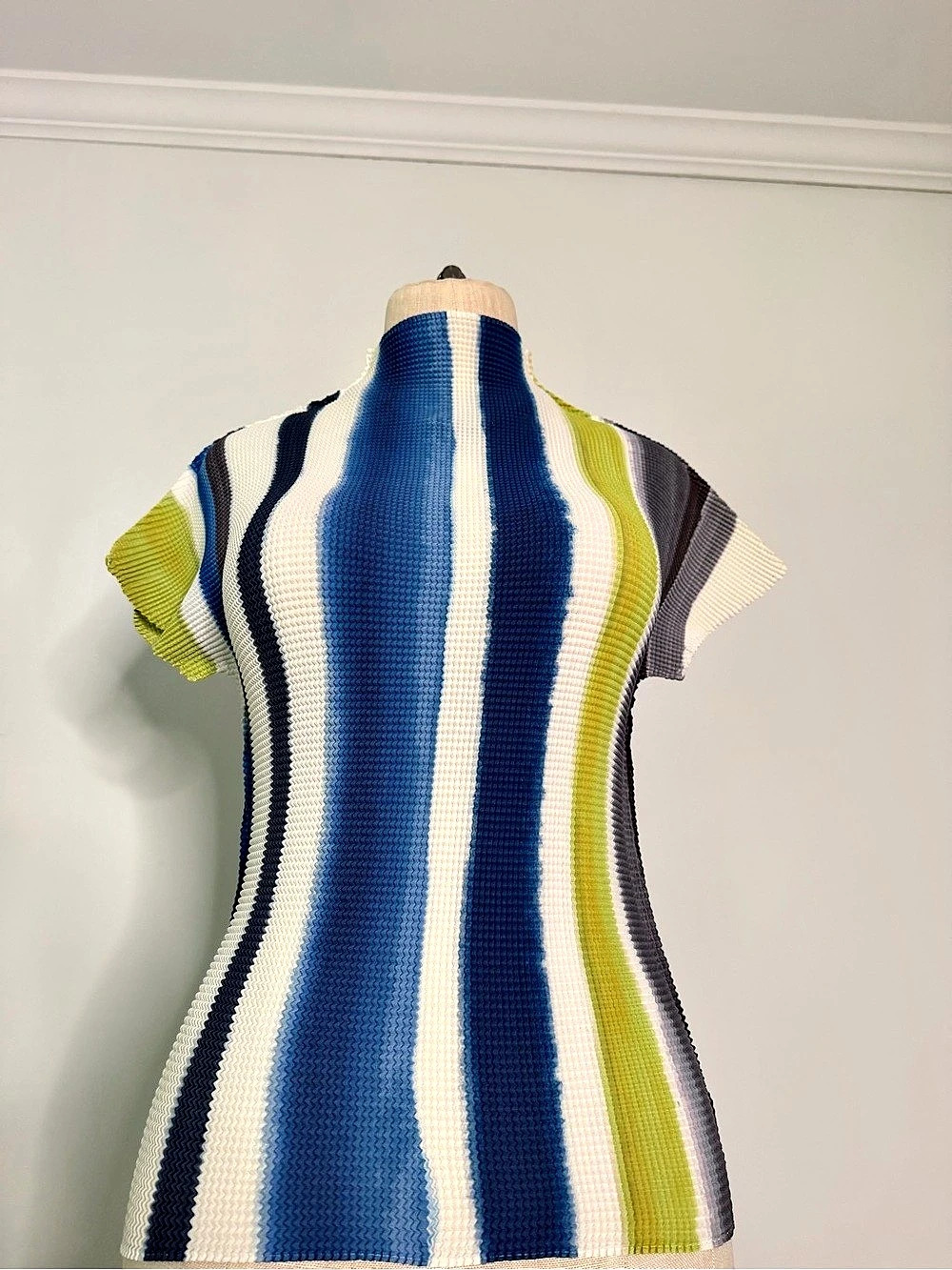 Pleated Striped Short Sleeve Top Blue & White Like New
